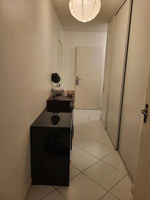 Appartement Climatise Et Moderne Lyon